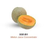 Melon-Juice-Concentrate-e1704695626790-300x300