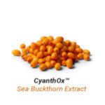 Sea-Buckthorn-Extract-e1704695643120-300x300