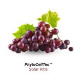 Solar-Vitis-e1704695526770-300x300